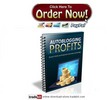 Thumbnail Autoblogging Profits