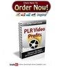 Thumbnail PLR Video Profits