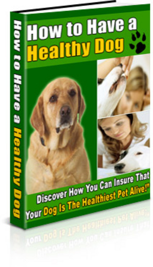 Pay for Healthy Dog - Insure Your Dog Is A Healthy Pet/MRR