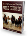 Thumbnail The Art of Taming and Training Wild Horses (PLR) Thumbnail The Art of Taming and Training Wild Horses (PLR)