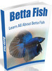 Thumbnail Beta Fish with MRR