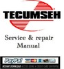 Thumbnail Download service manual Tecumseh 2 Cycle Engine