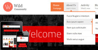 Thumbnail WildCommunity - BuddyPress Theme