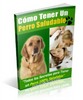 Thumbnail Cómo Tener Un Perro Saludable MRR Thumbnail Cómo Tener Un Perro Saludable MRR