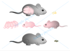 Thumbnail Biomedical vector illustration for paper thesis grey mouse 
