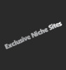 Thumbnail 10Niche Sites