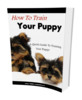 Thumbnail How To Train Your Puppy (MRR)