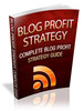 Thumbnail Blog Profit Strategy plr