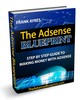 Thumbnail The Adsense Blueprint plr