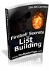 Thumbnail Fireball Secrets to List Building plr