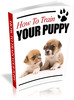 Thumbnail How To Train Your Puppy plr