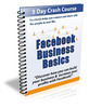 Thumbnail Facebook Business Basics plr