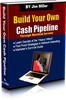 Thumbnail Build Your Own Cash Pipeline plr