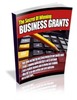 Thumbnail The Secrets Of Winning Business Grants plr