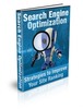 Thumbnail Search Engine Optimization PLR