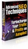 Thumbnail Advanced SEO Techniques PLR