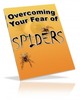 Thumbnail Overcoming Your Fear of Spiders mrr