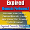 Thumbnail Expired Domain Fortunes! mrr