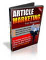 Thumbnail Article Marketing For Newbies (with PLR)