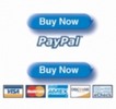 Thumbnail Create Paypal Buy Now Button (with PLR)