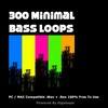 Thumbnail GigaLoops - 300 Minimal Bass Loops