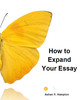 Thumbnail Expand Your Essay: Video