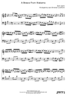 Thumbnail A Breeze from Alabama Pure Sheet Music Duet for C Instrument and Accordion, Arranged by Lars Christian Lundholm