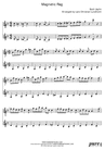 Thumbnail Magnetic Rag Pure Sheet Music Duet for Violin and Viola, Arranged by Lars Christian Lundholm