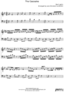 Thumbnail The Cascades Pure Sheet Music Duet for Violin and Bassoon, Arranged by Lars Christian Lundholm