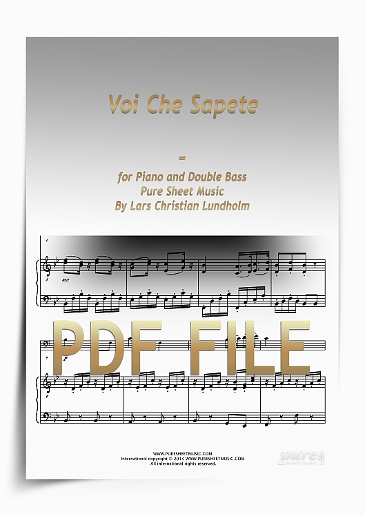 Thumbnail Voi Che Sapete for Piano and Double Bass (PDF file), Pure Sheet Music arranged by Lars Christian Lundholm