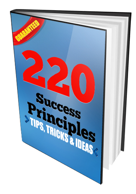 Thumbnail 220 Success Principles Tips Tricks and Ideas eBook