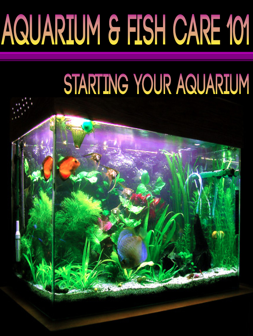 Thumbnail Aquarium Fish Care 101 eBook
