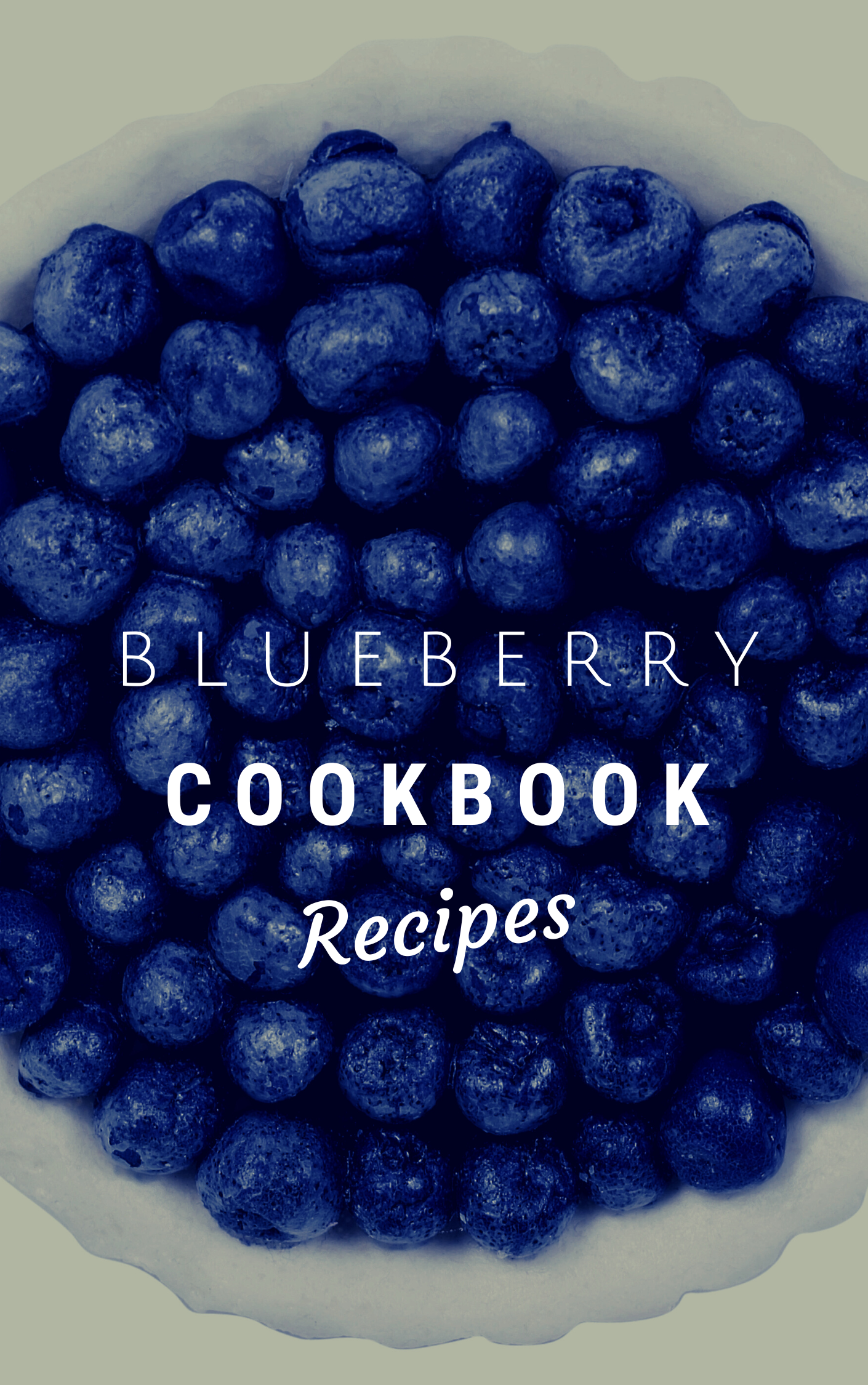 Thumbnail Blueberry Cookbook eBook