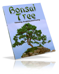 Thumbnail Bonsai Tree eBook