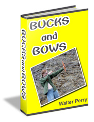 Thumbnail Bucks and Bows eBook