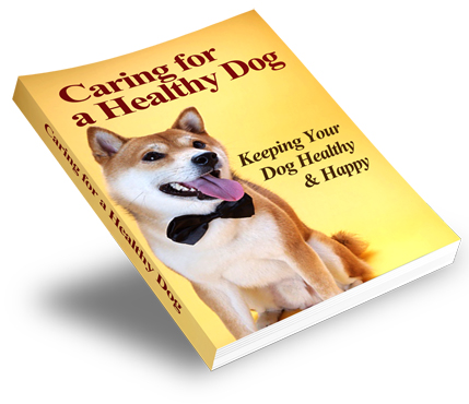 Thumbnail Caring For A Healthy Dog eBook