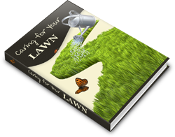 Thumbnail Caring For Your Lawn eBook