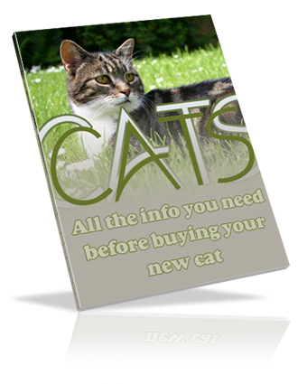 Thumbnail Cats eBook