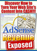 Thumbnail AdSense Revenue Exposed
