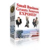 Thumbnail Small Business Grants Sources  Exposed
