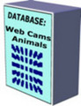 *HOT!* 10 Databases