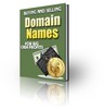 *HOT!* Buyingand Selling Domain Names