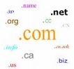 Thumbnail Domain Registration