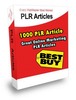 Thumbnail 1000 Plr Article on Online Marketing