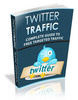 Thumbnail Twitter Traffic