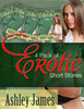 Thumbnail Four Pack Of Erotic Short Stories