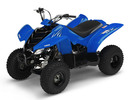 Thumbnail YAMAHA RAPTOR 50 YFM50S ATV 2003+ WORKSHOP SERVICE MANUAL