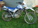 Thumbnail Yamaha Xt225 Motorcycle Service Repair Manual 1996-1998 Download Thumbnail Yamaha Xt225 Motorcycle Service Repair Manual 1996-1998 Download