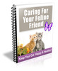 Thumbnail Caring for Your Feline Friend - 12 Part eCourse (PLR)