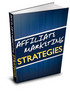 Thumbnail Affiliate Marketing Strategies (PLR)